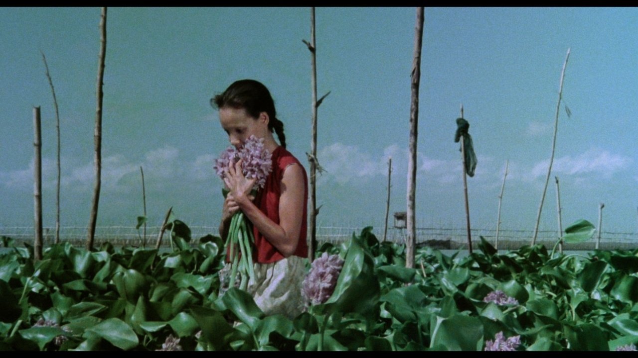 A Speck in the Water