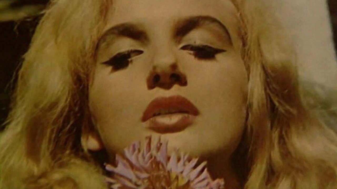 Didn't Do It For Love