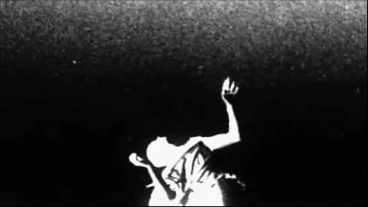 Din of Celestial Birds