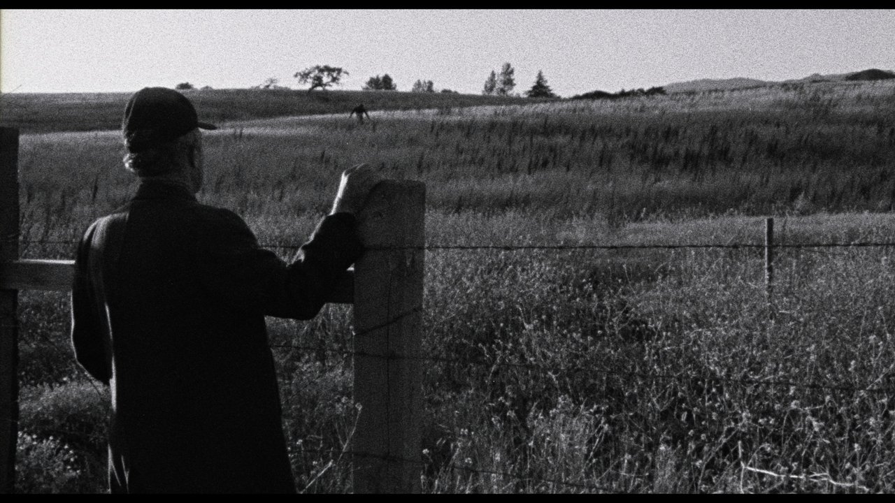 Faith of Our Fathers, a film by Hamilton Sterling