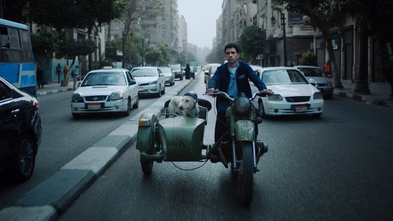 Seeking Haven for Mr. Rambo