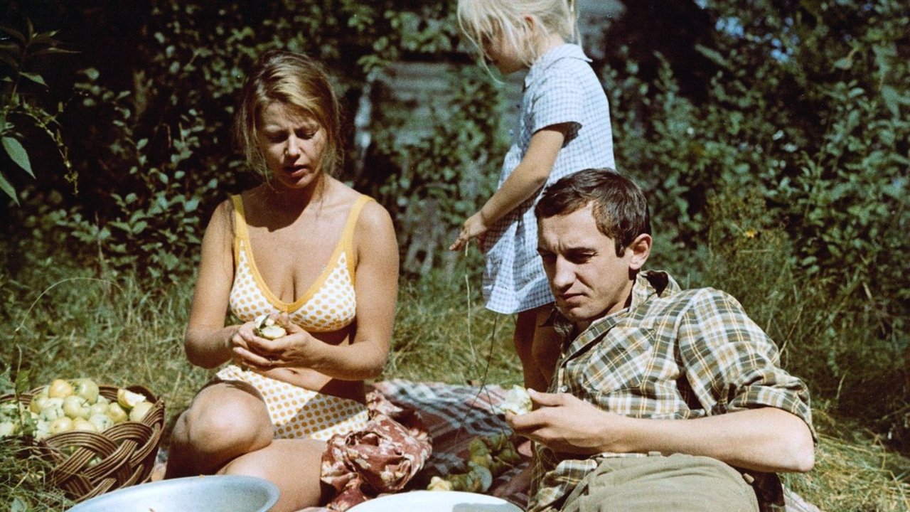 Summer Ends in Autumn