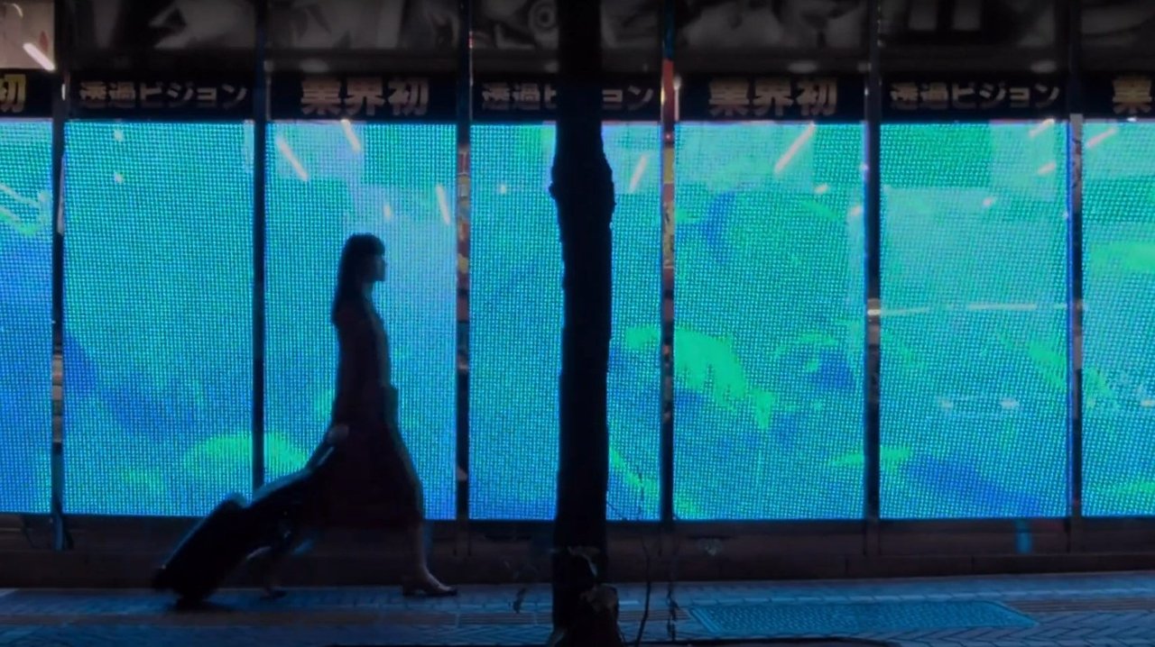 The Fish with One Sleeve