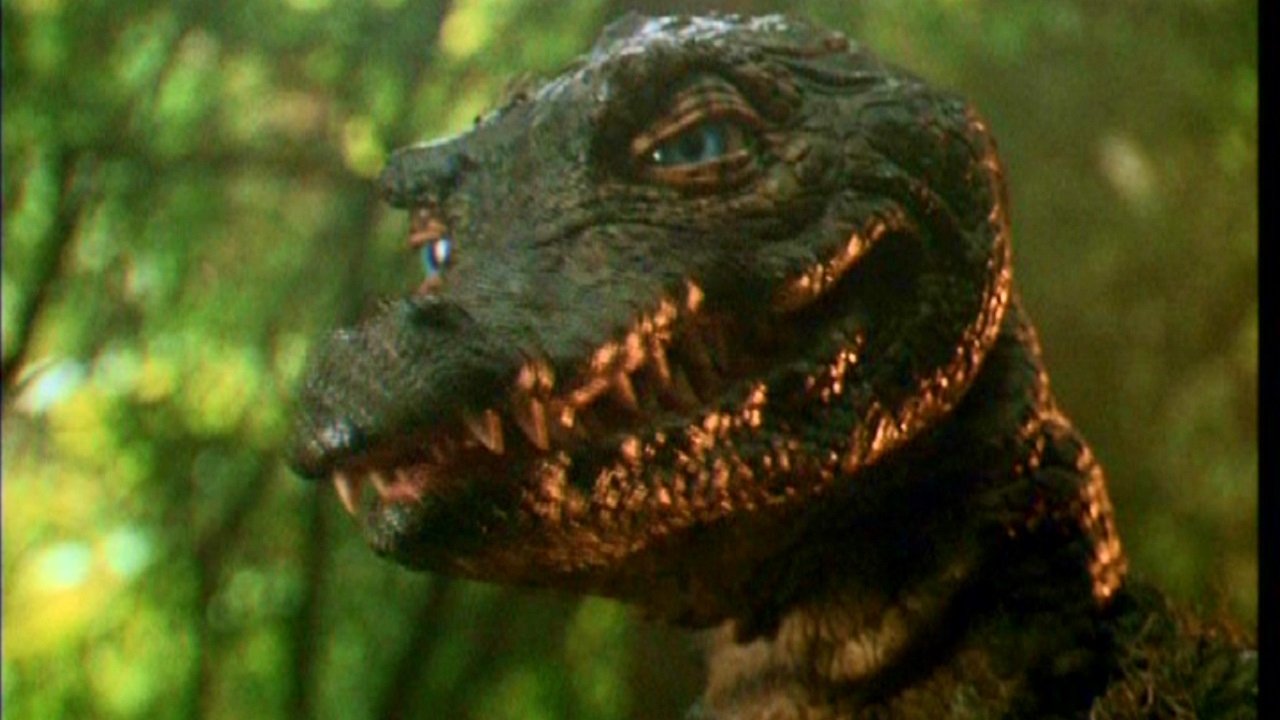 The Legend of Gator Face