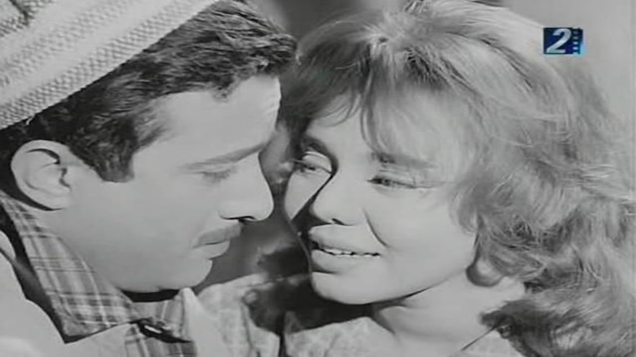 The Newspaper Seller