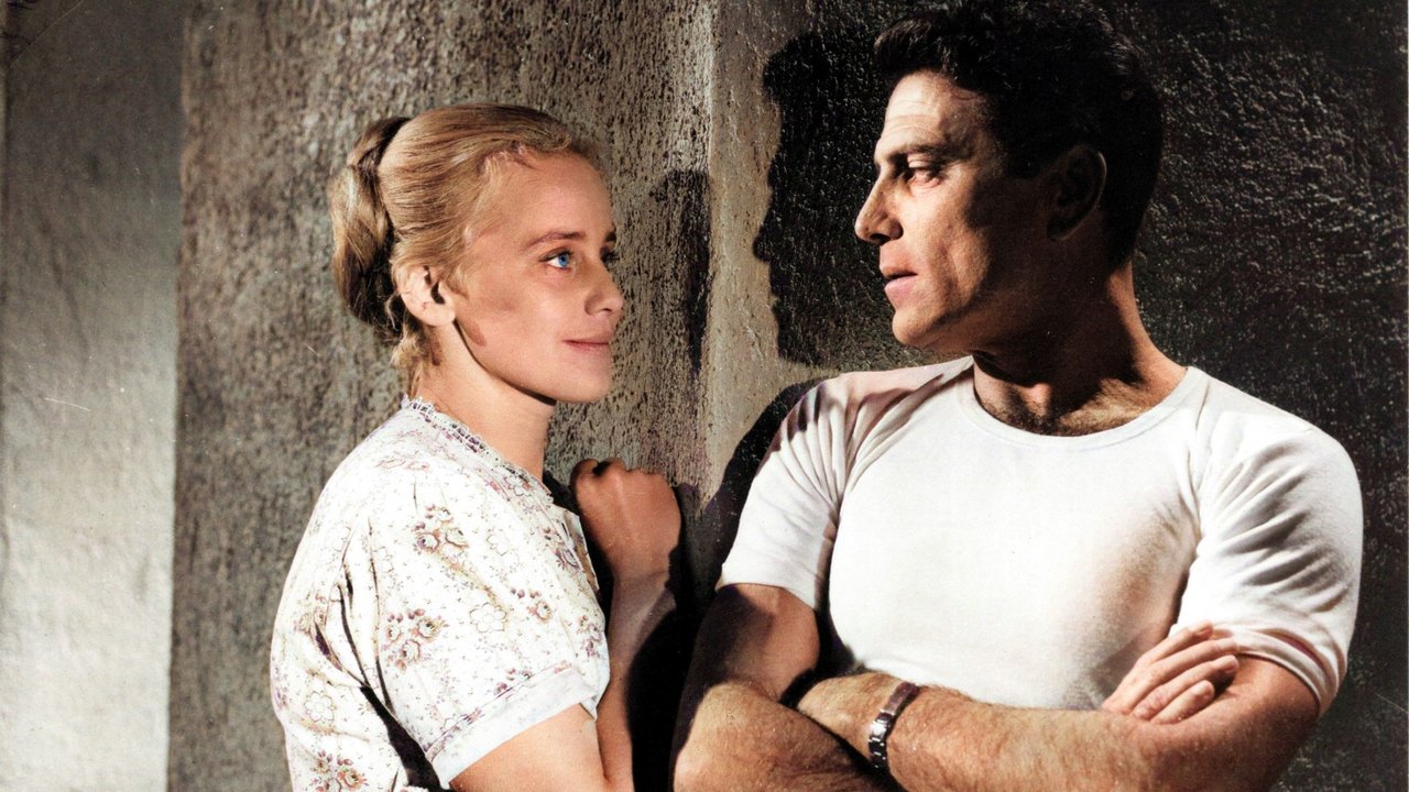 The Sins of Rose Bernd