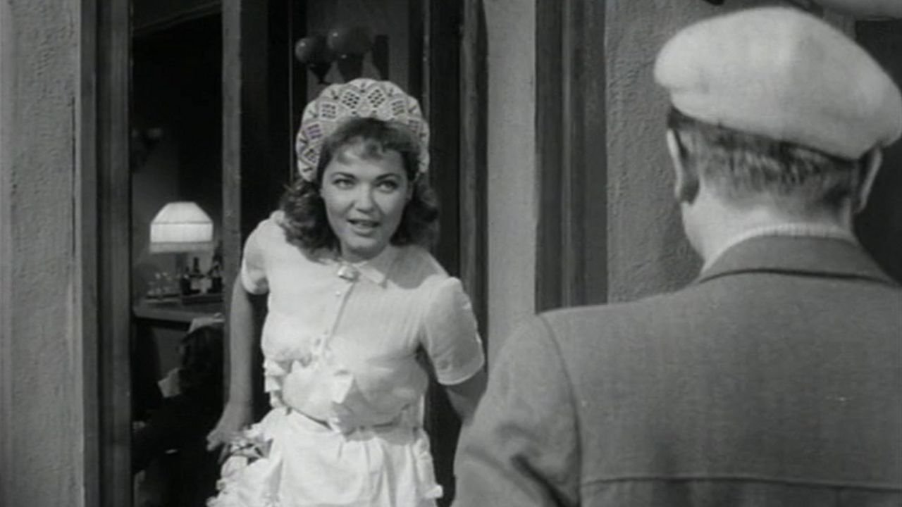 The Variegateds Case