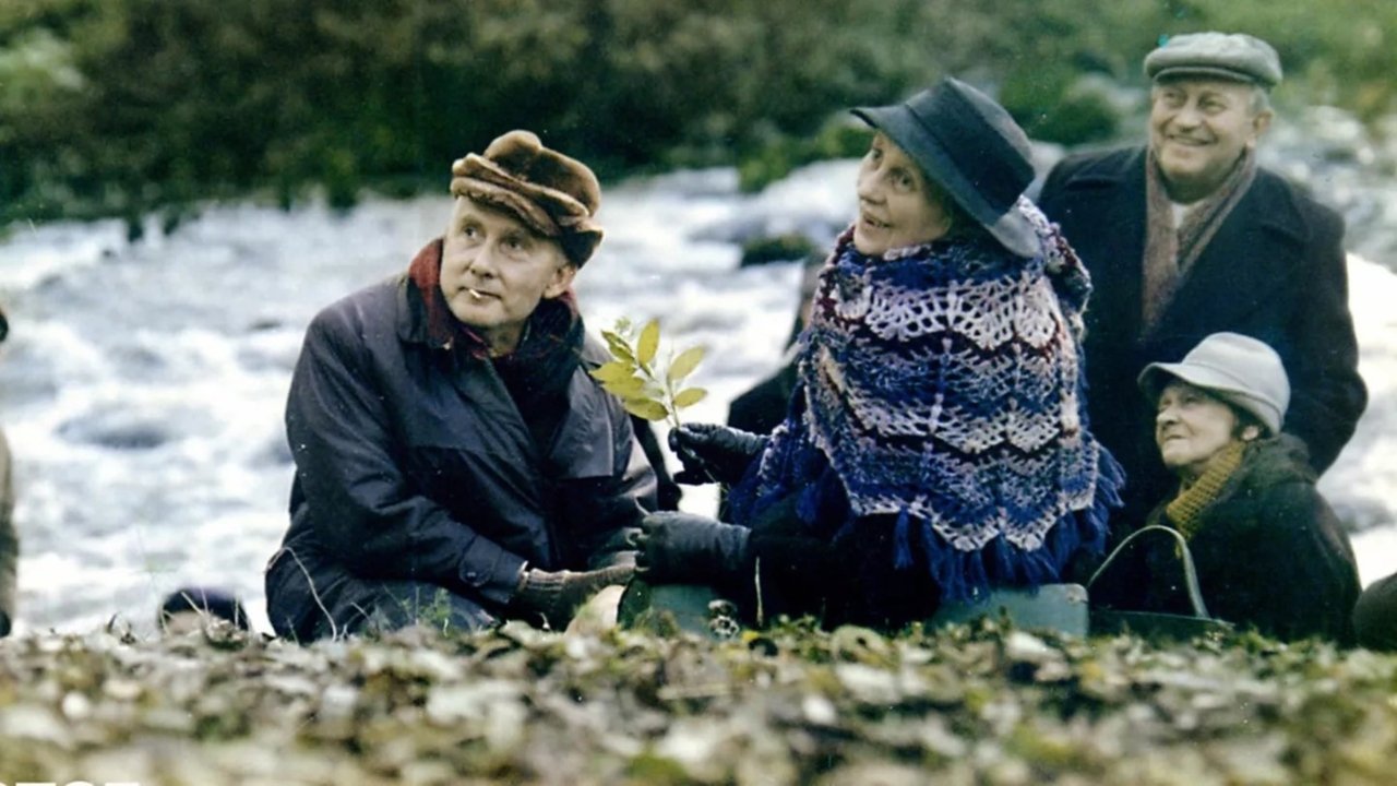 The Weather Forecast