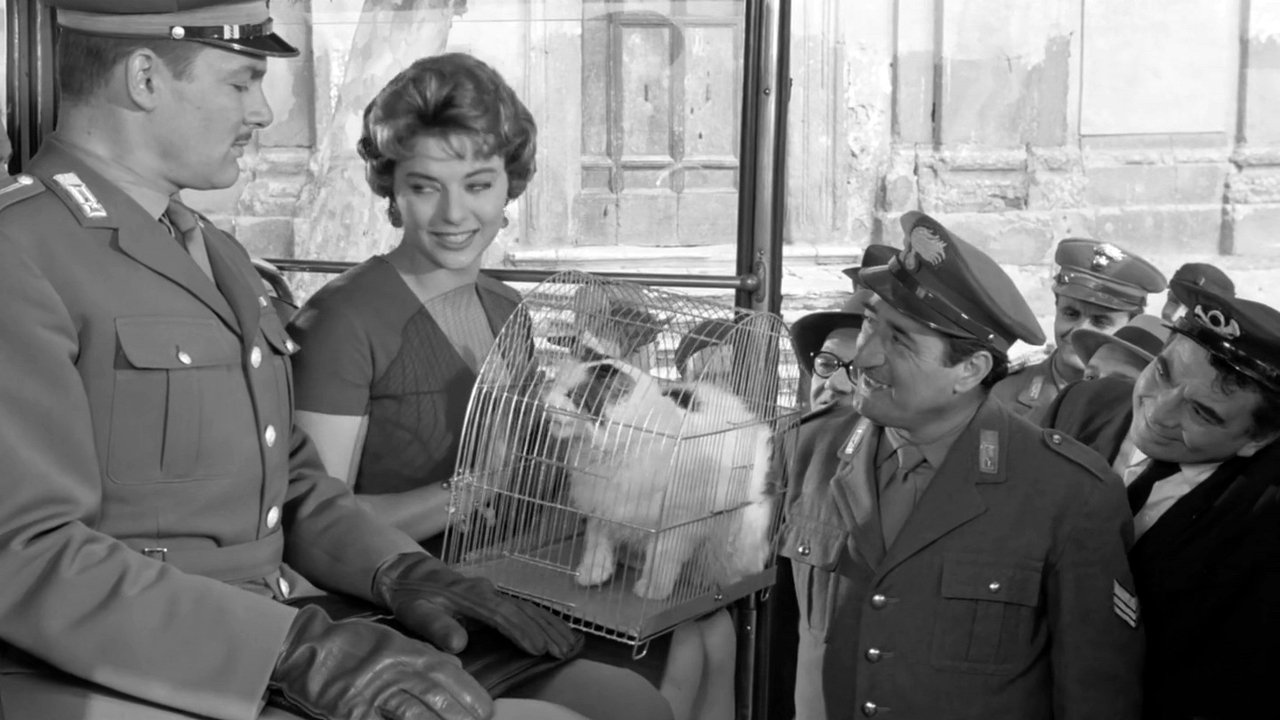 Tuppe tuppe, Marescià!