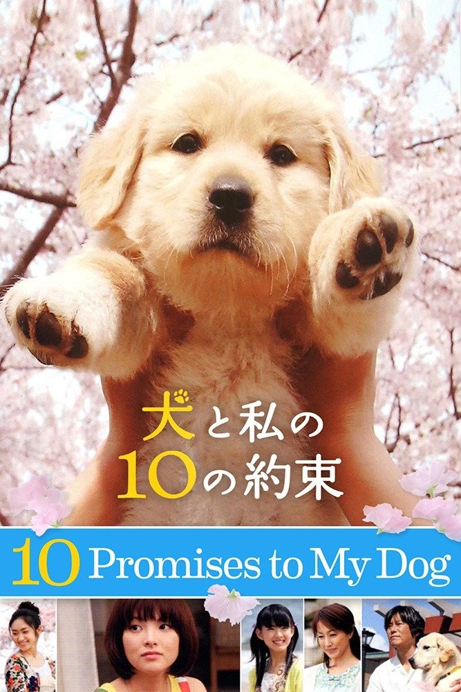 10 Promises to My Dog photo