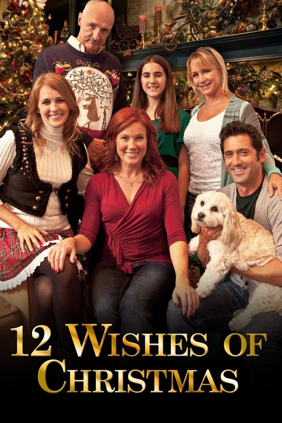 12 Wishes of Christmas photo