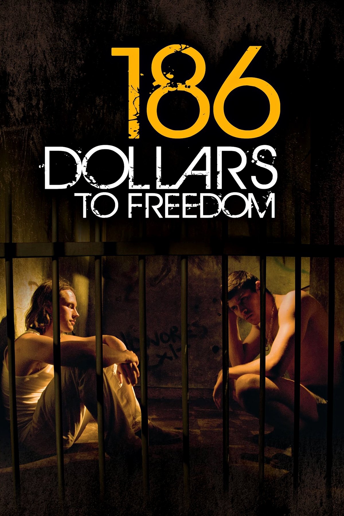 186 Dollars to Freedom photo