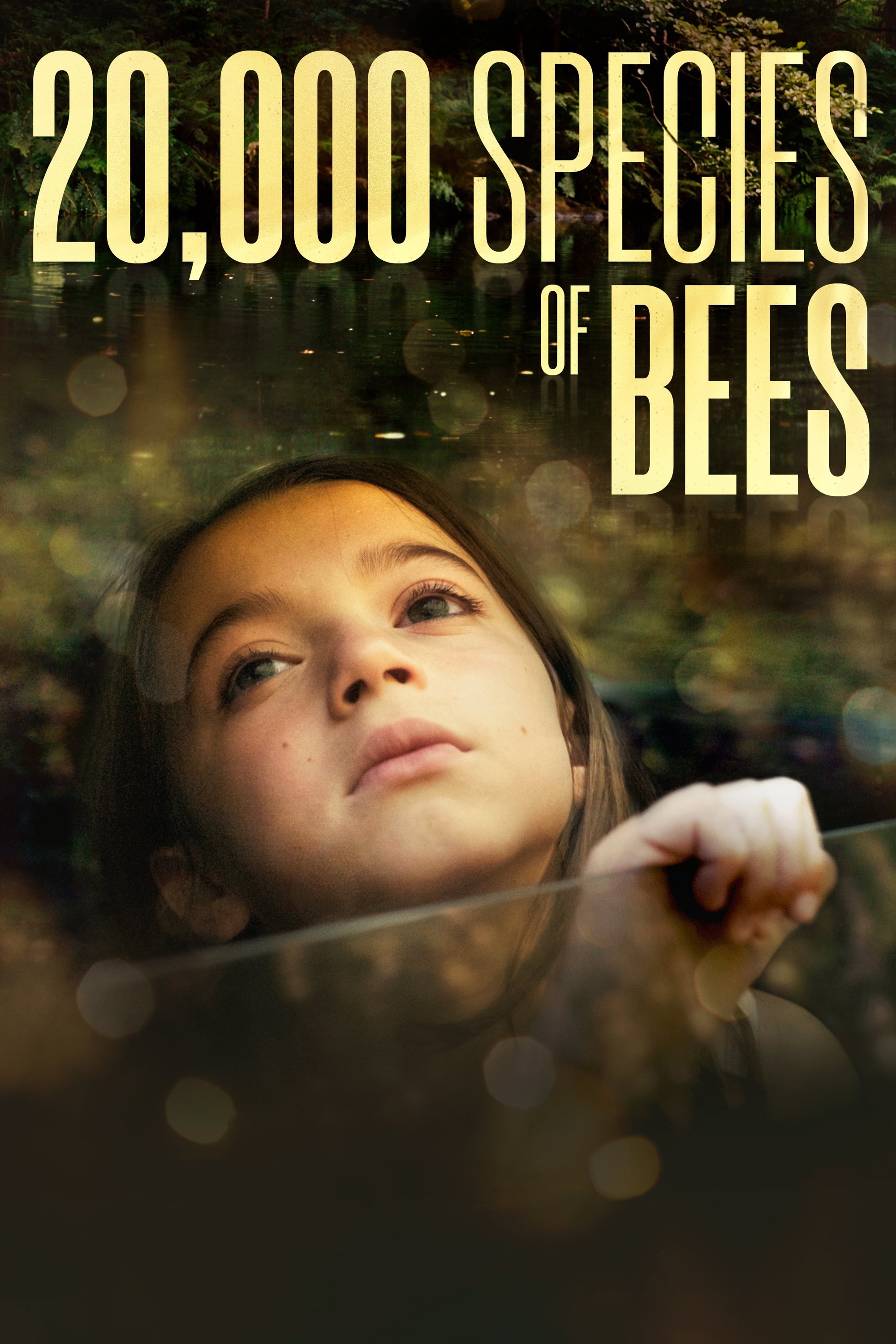 20,000 Species of Bees photo