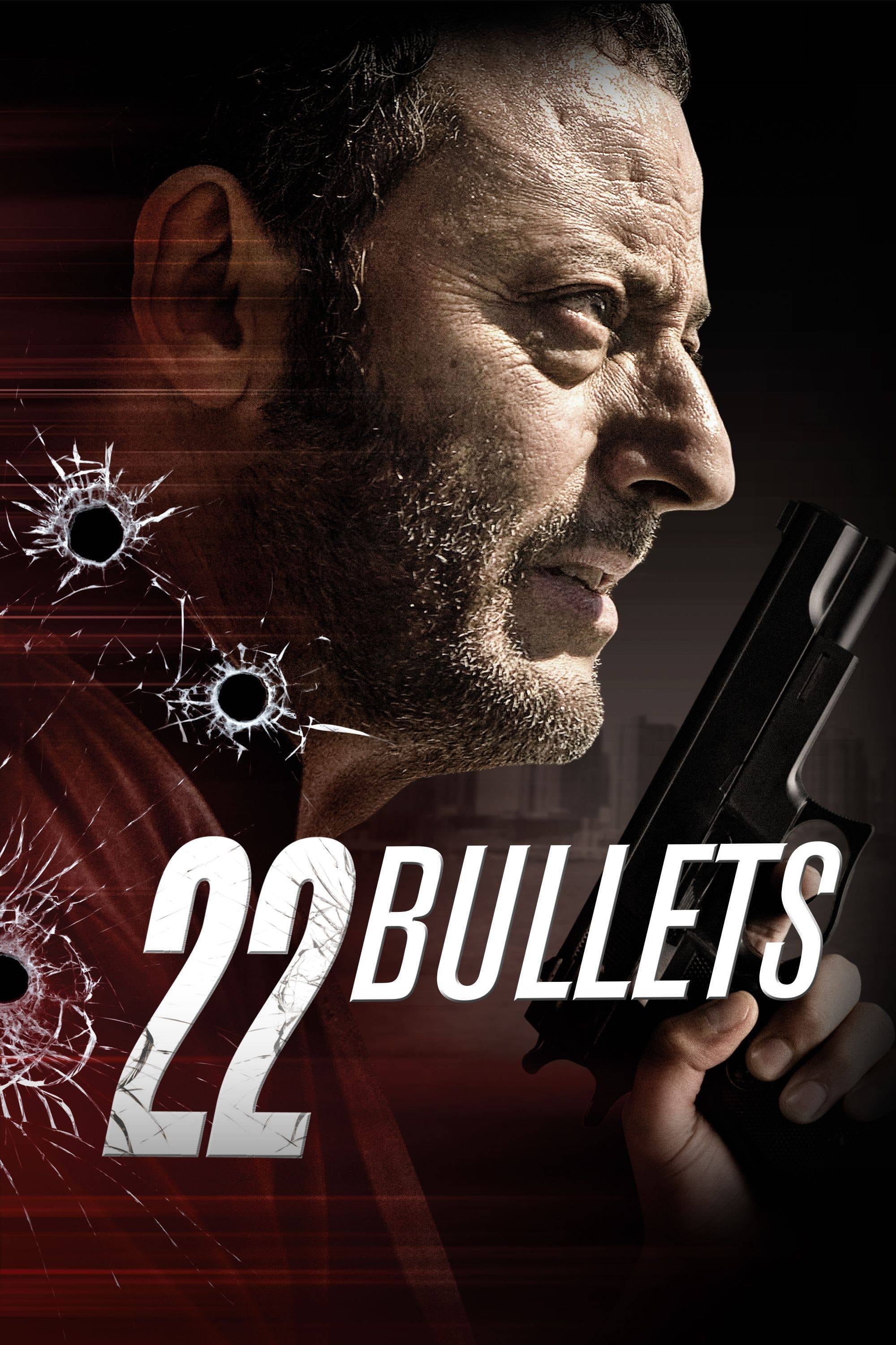 22 Bullets photo