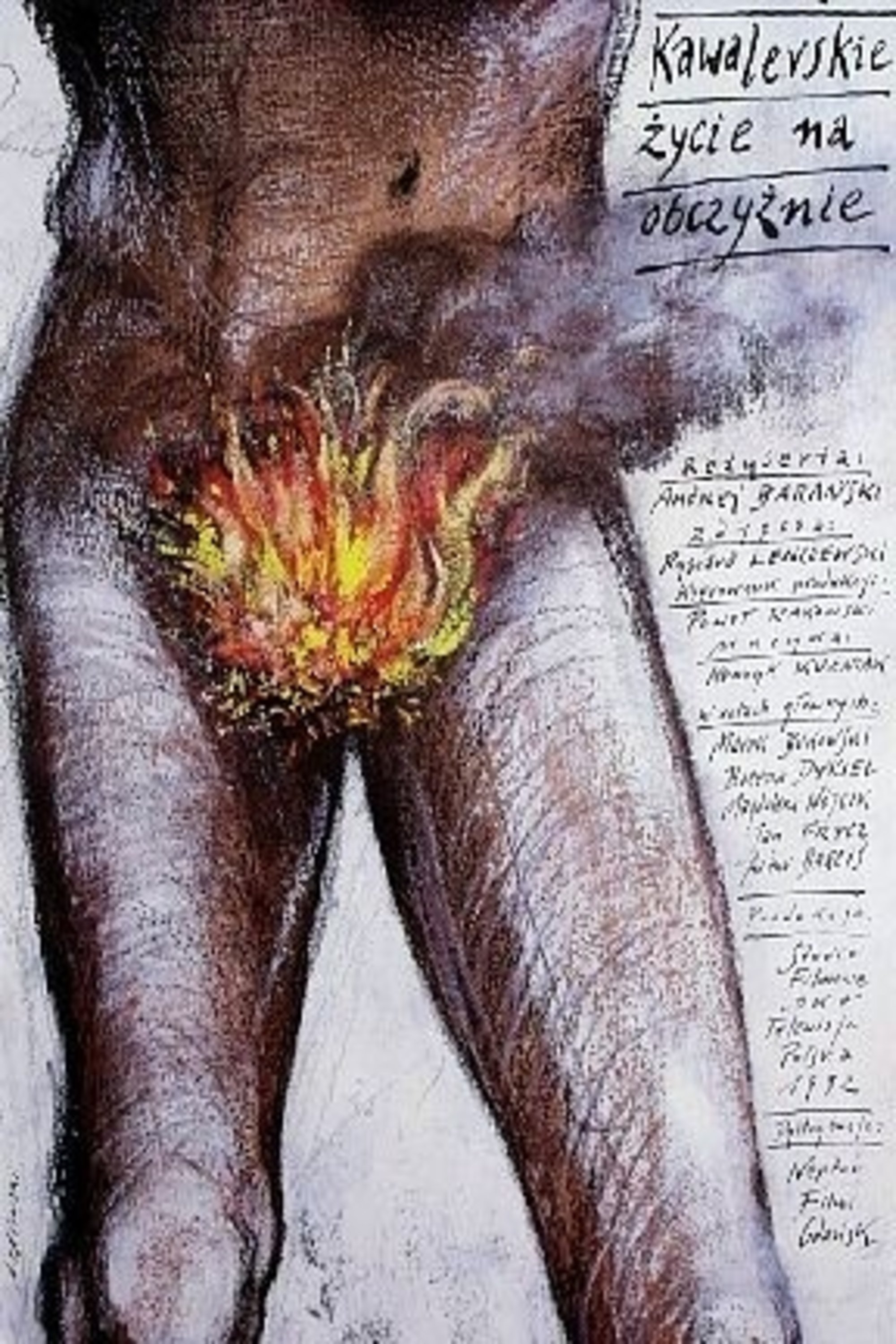 A Bachelor's Life Abroad photo