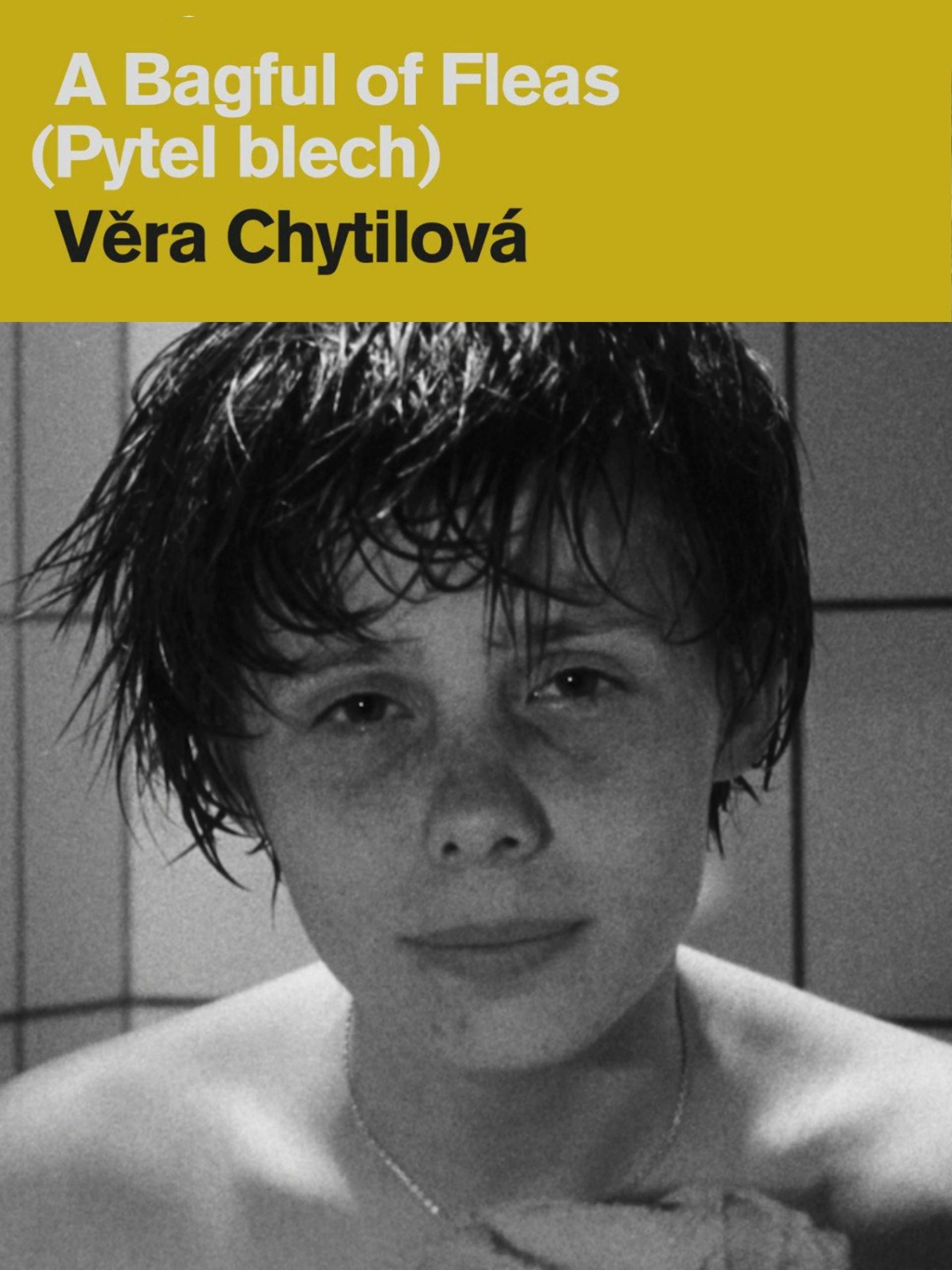 A Bagful of Fleas photo