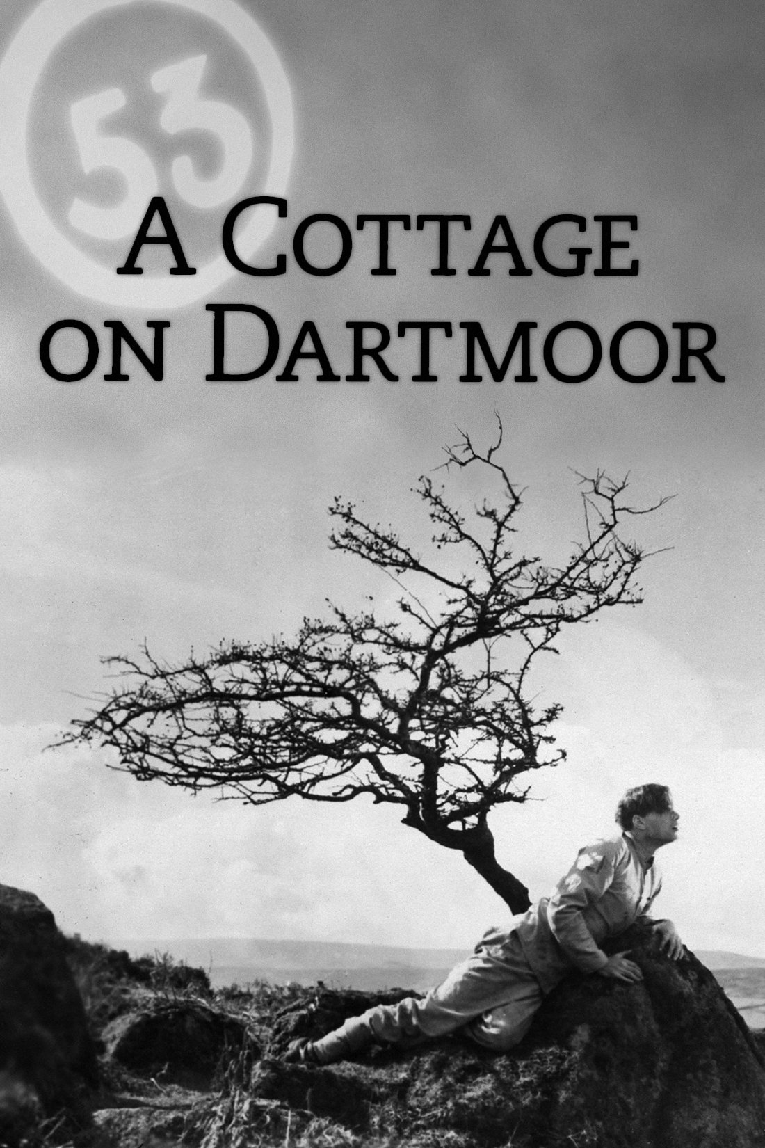 A Cottage on Dartmoor photo