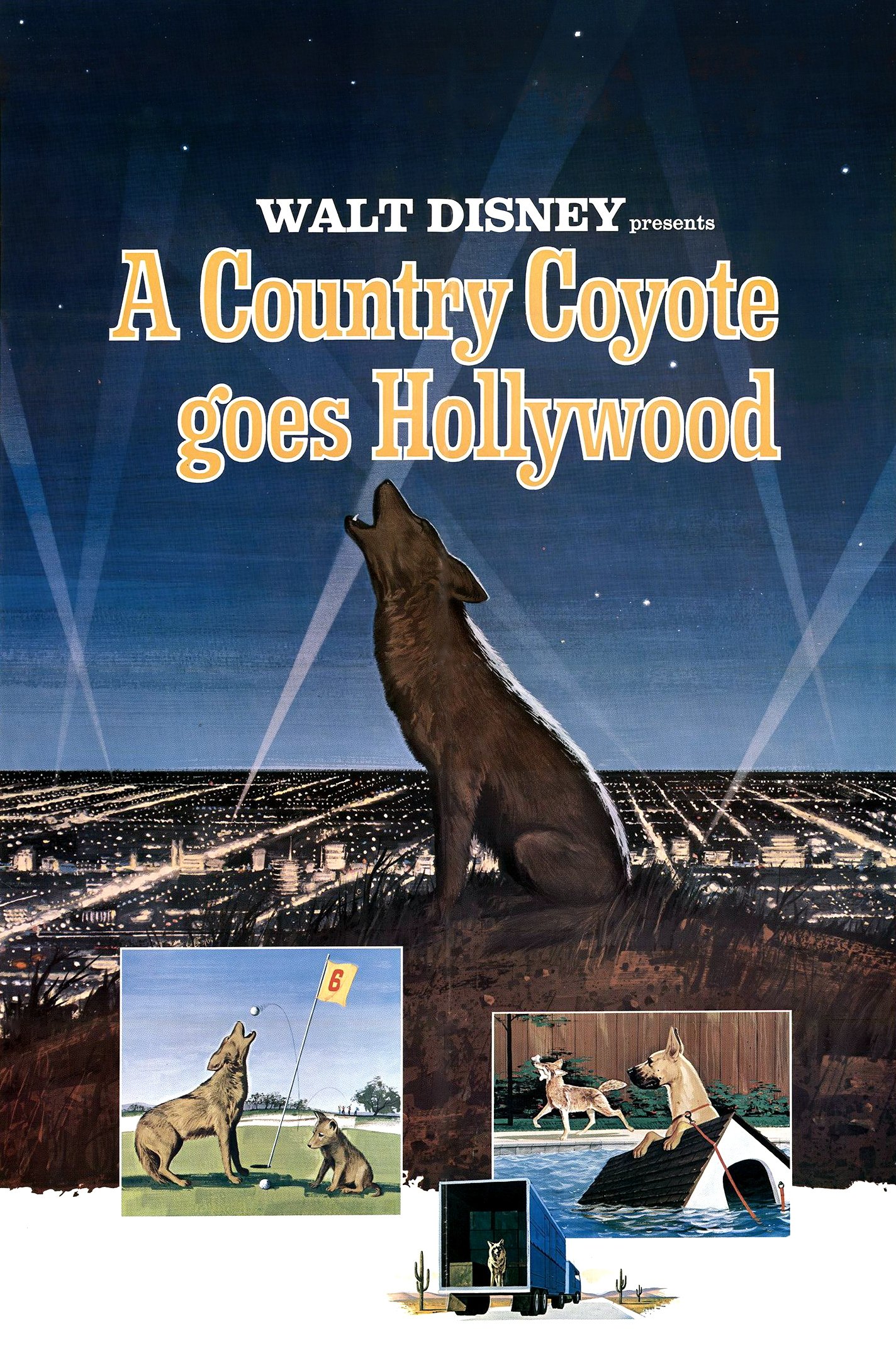 A Country Coyote Goes Hollywood photo