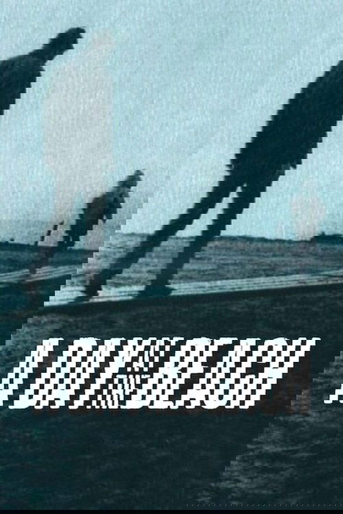 A Day at the Beach photo