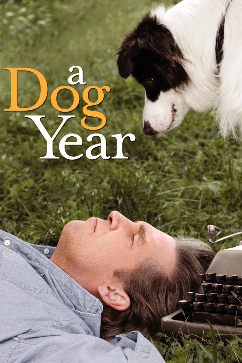 A Dog Year photo