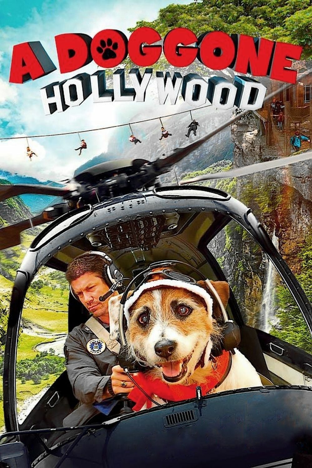 A Doggone Hollywood photo
