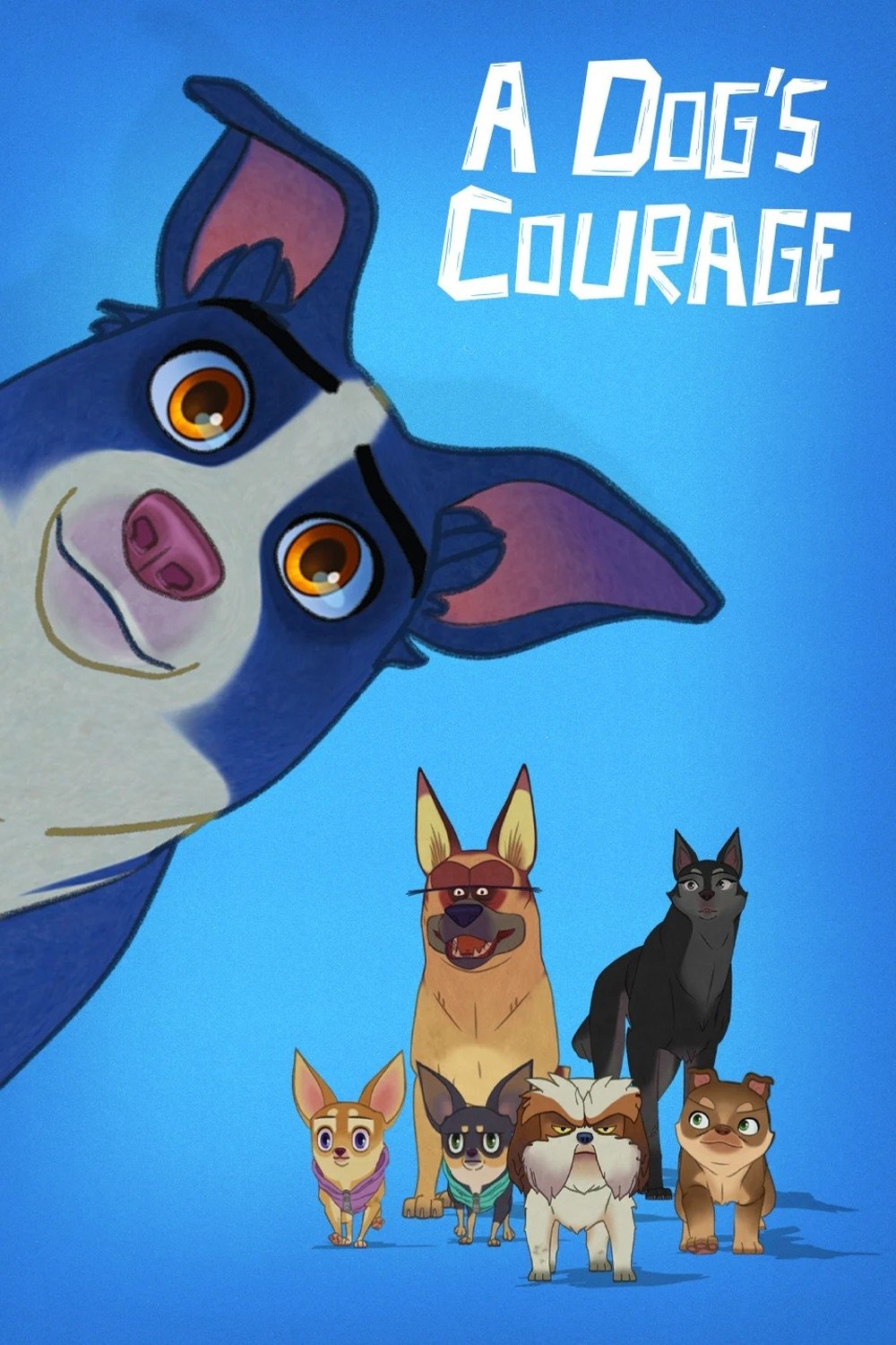 A Dog's Courage photo