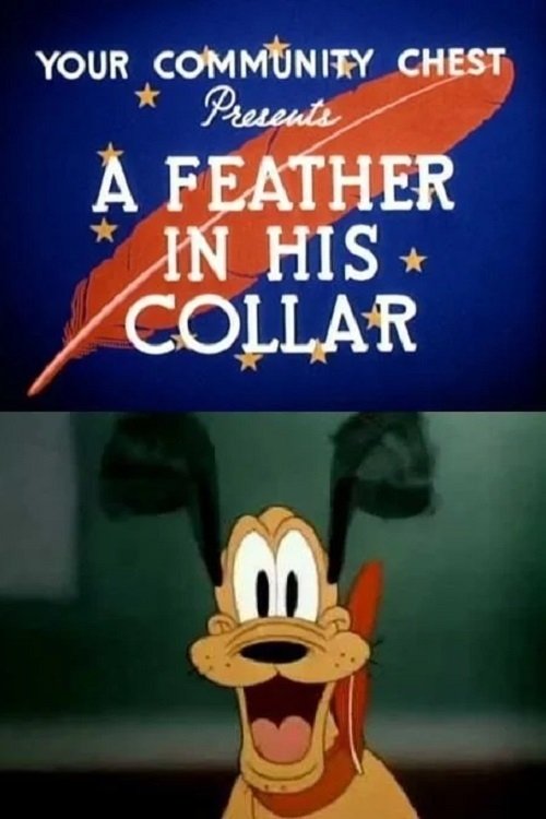 A Feather in His Collar photo