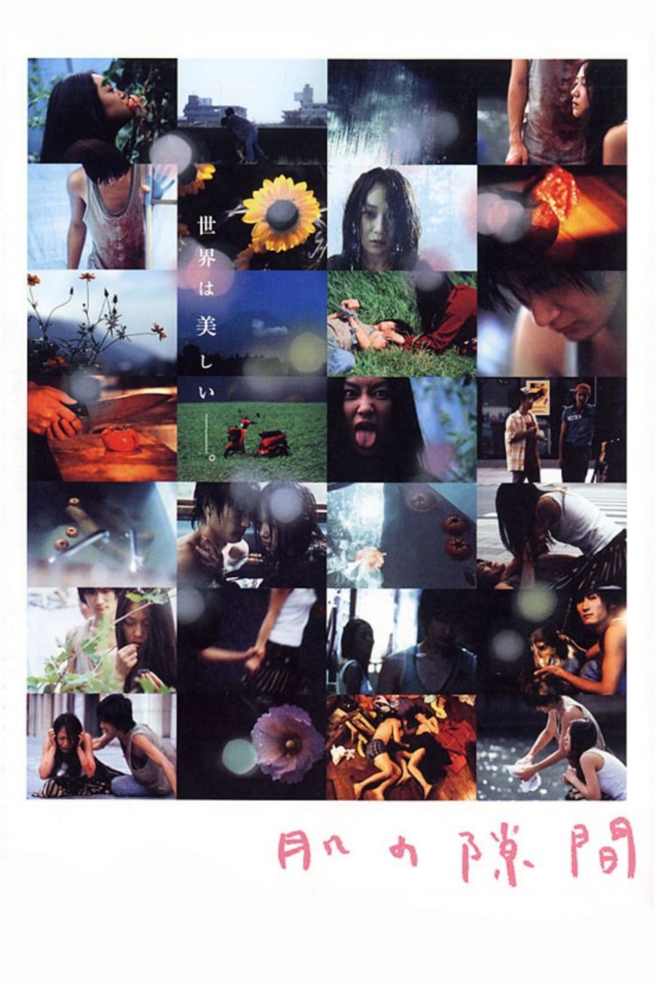 A Gap in the Skin photo