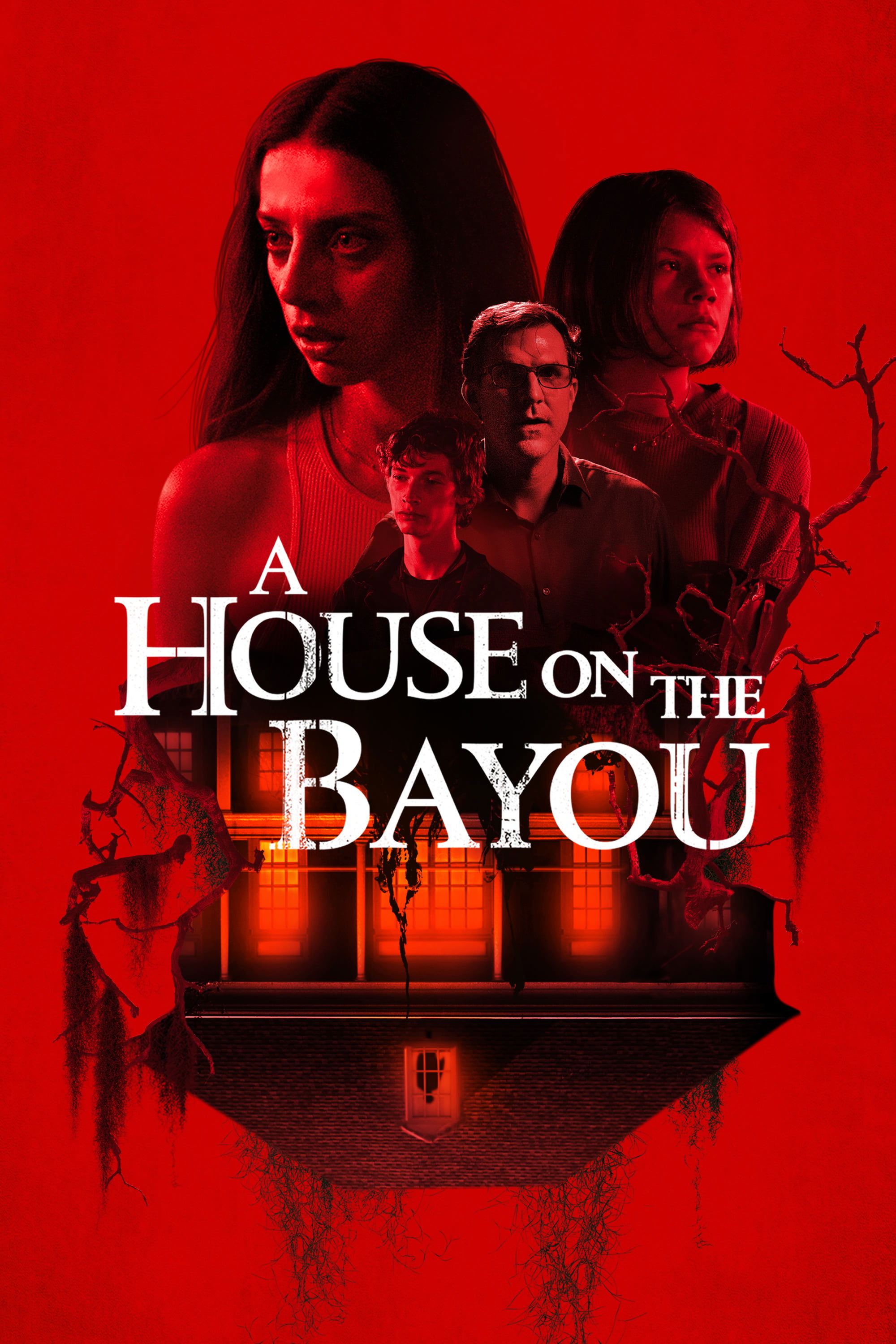 A House on the Bayou photo