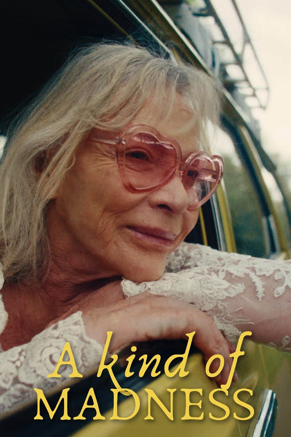 A Kind of Madness photo