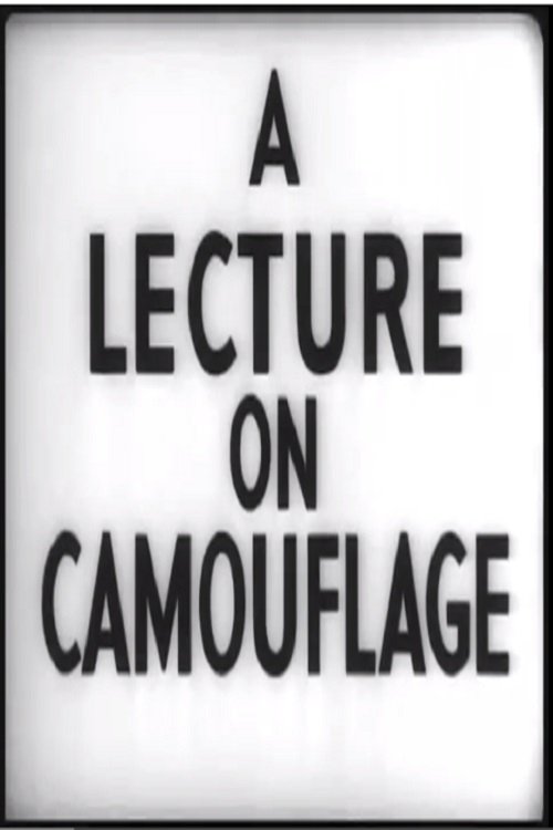 A Lecture on Camouflage photo