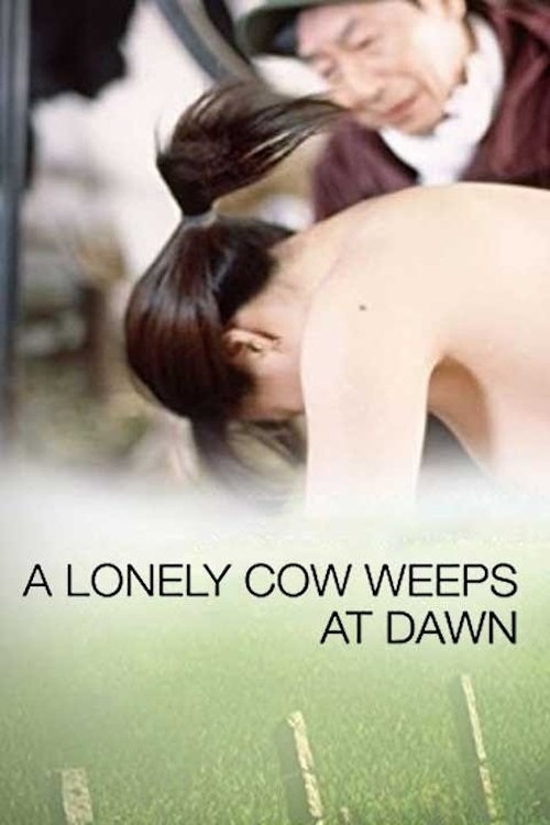 A Lonely Cow Weeps at Dawn photo