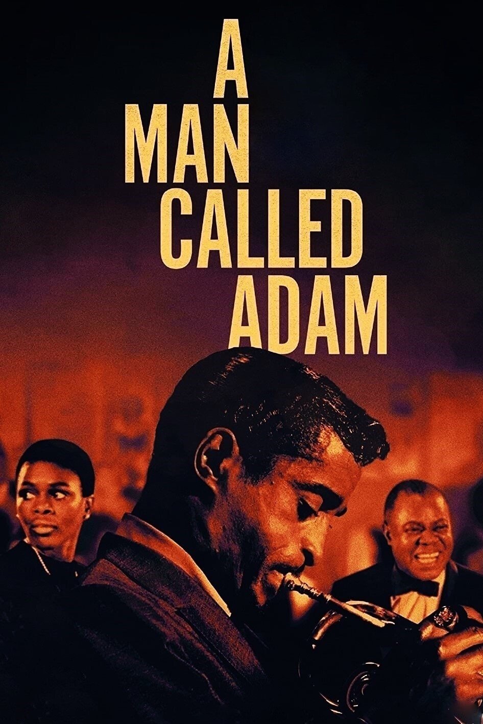 A Man Called Adam photo