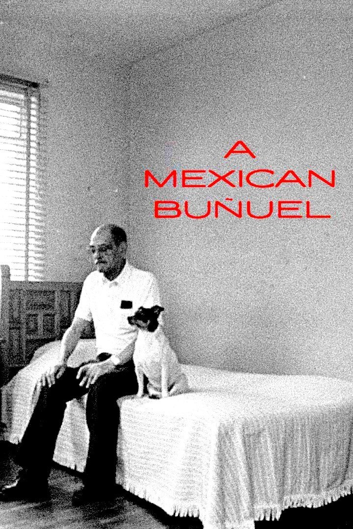 A Mexican Buñuel photo