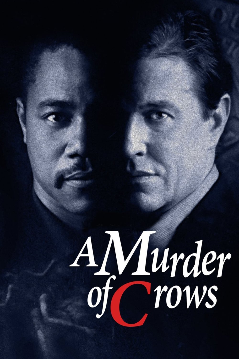 A Murder of Crows photo