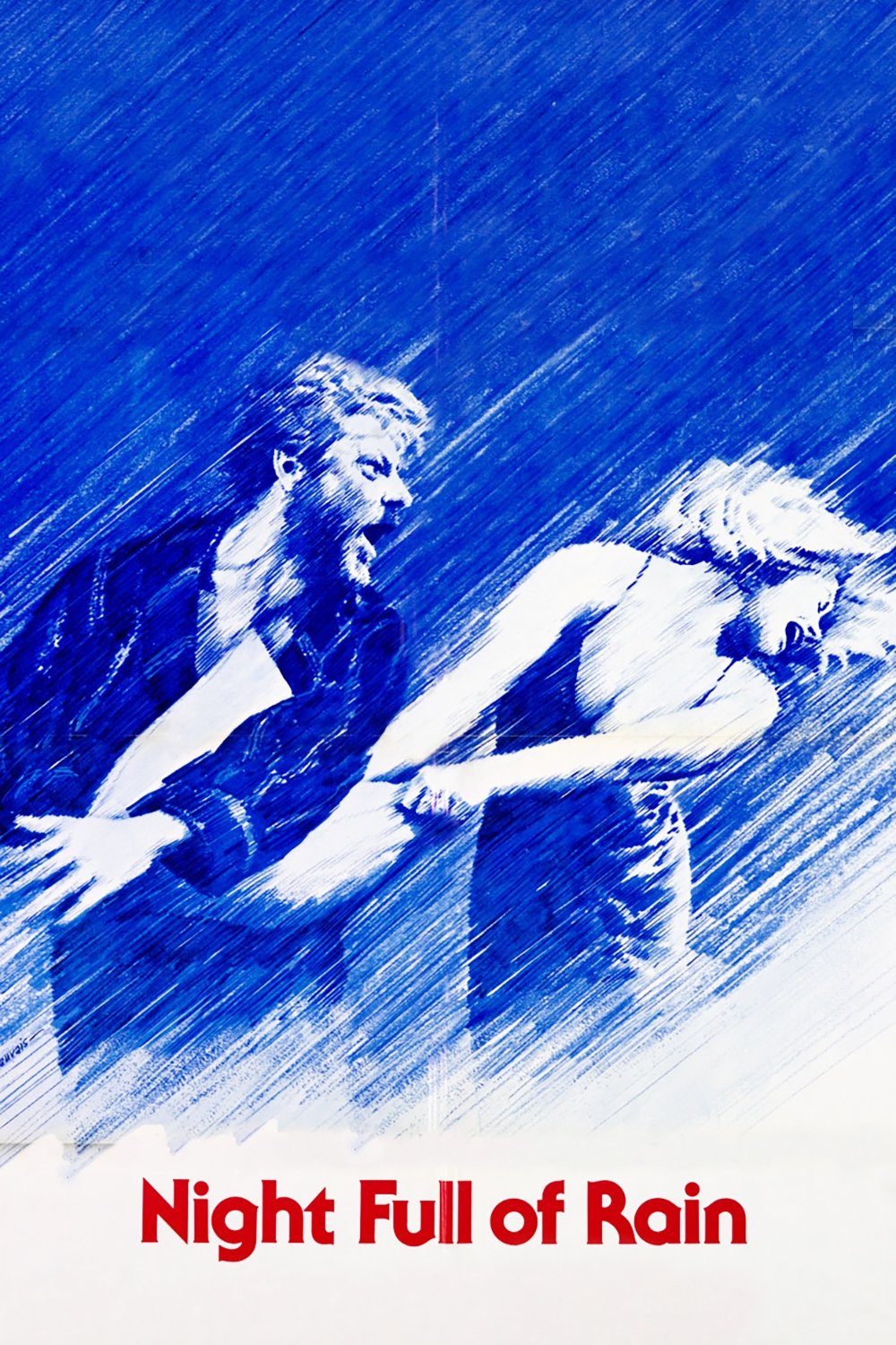 A Night Full of Rain photo