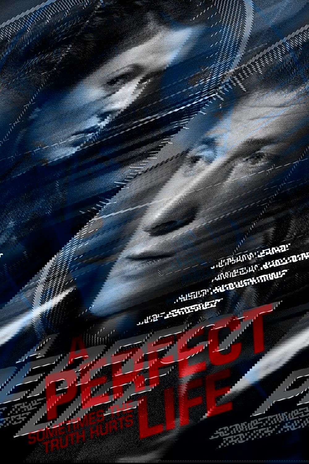 A Perfect Life photo