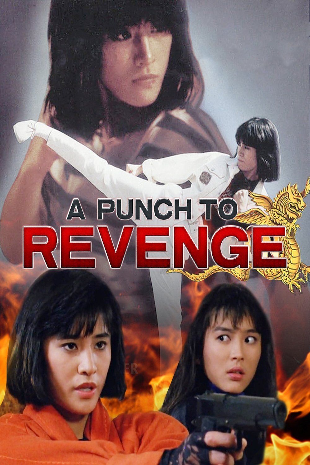 A Punch to Revenge photo