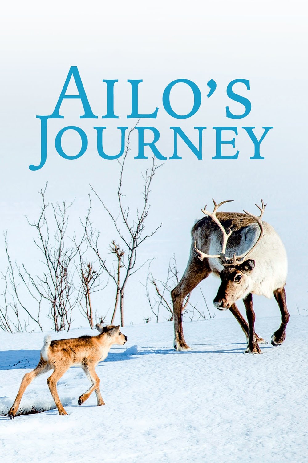 A Reindeer's Journey photo
