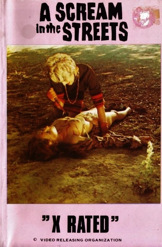 A Scream in the Streets photo