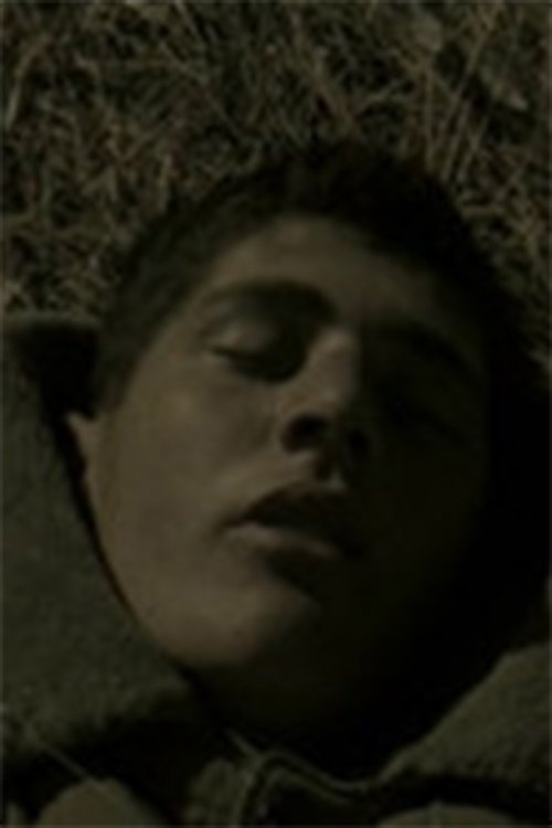 A Soldier's Dream photo