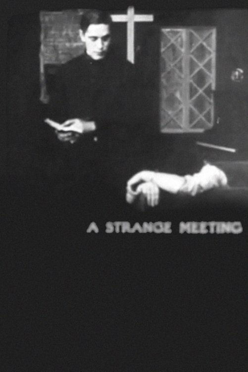 A Strange Meeting photo