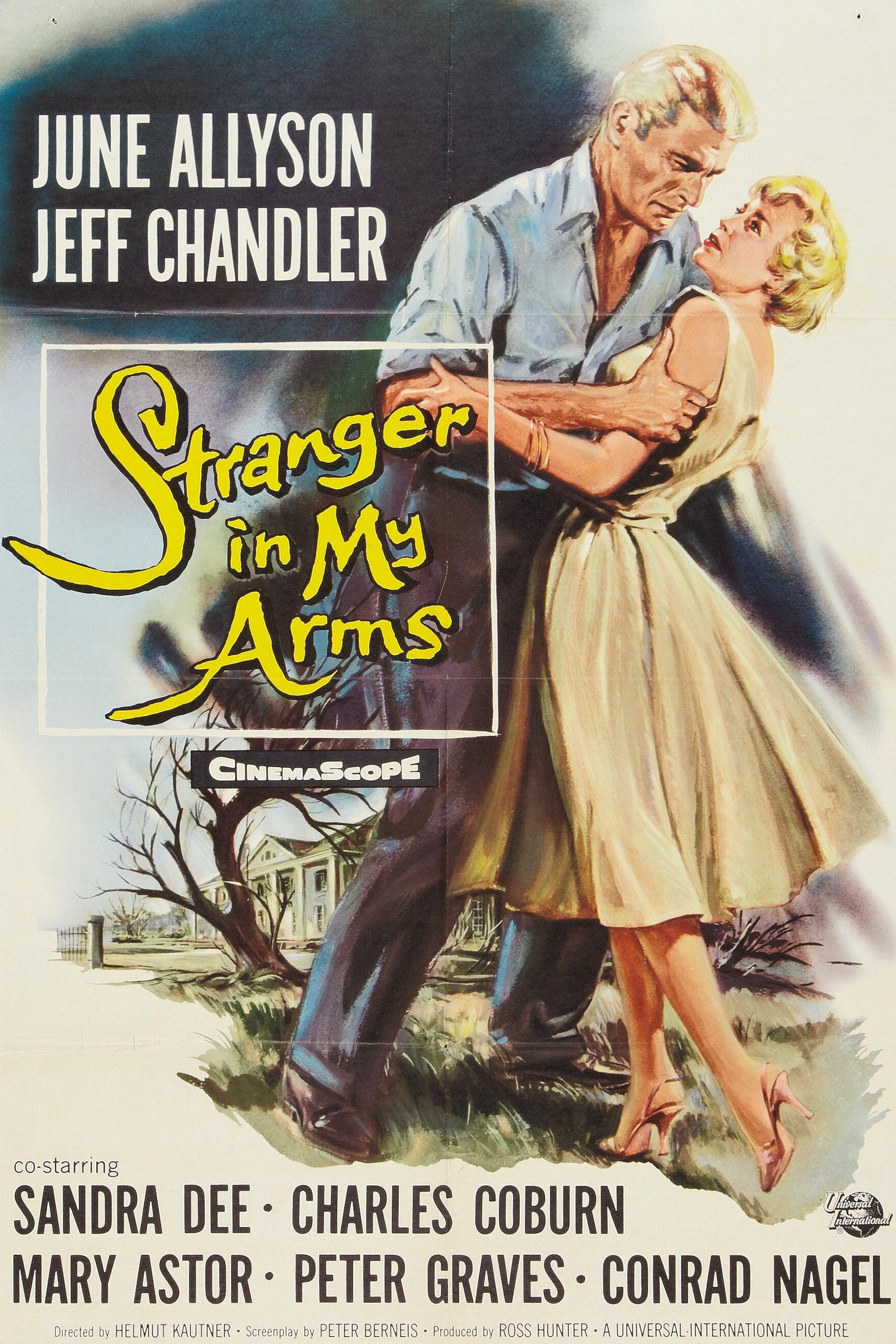 A Stranger in My Arms photo