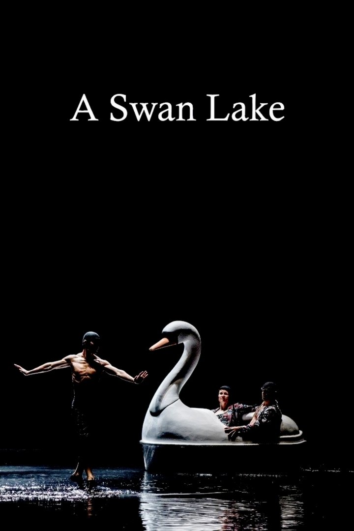 A Swan Lake photo