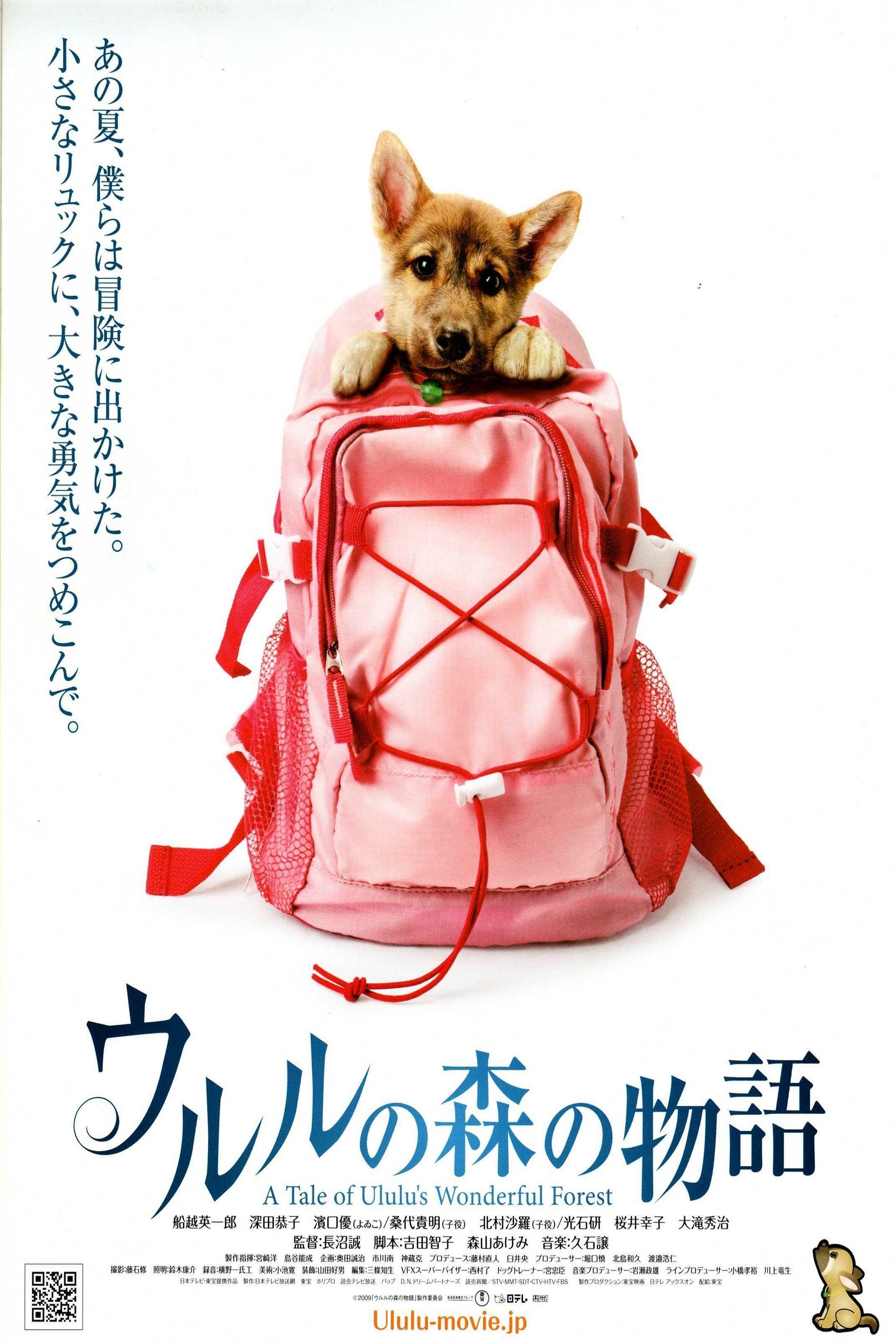 A Tale of Ululu's Wonderful Forest photo