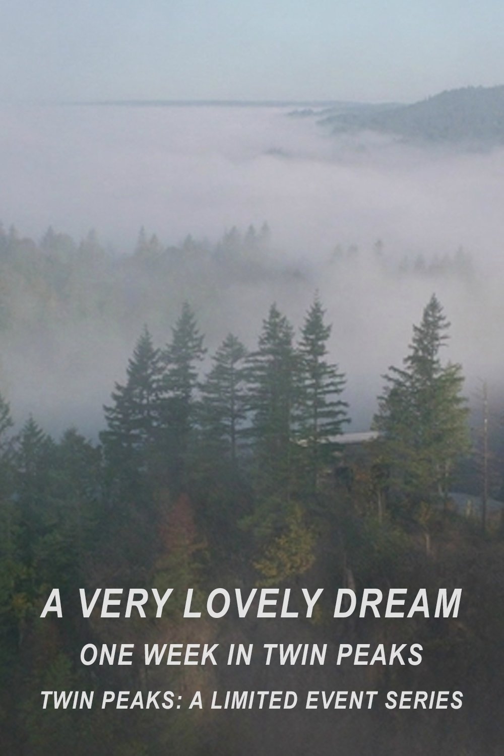 A Very Lovely Dream: One Week in Twin Peaks photo