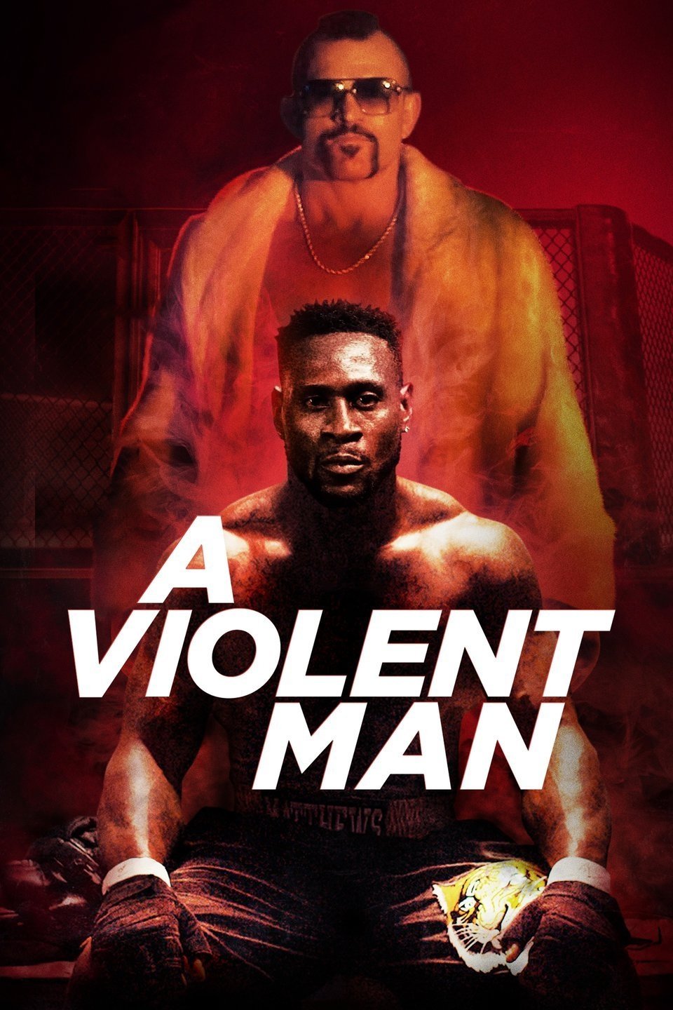 A Violent Man photo