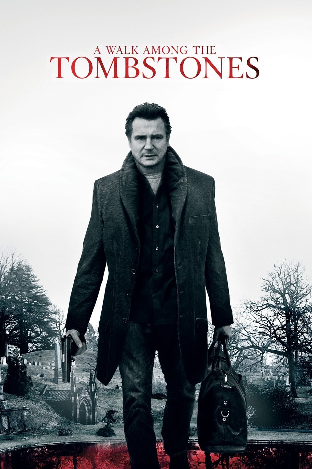 A Walk Among the Tombstones photo