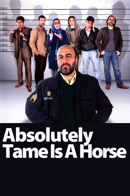 Absolutely Tame Is a Horse photo