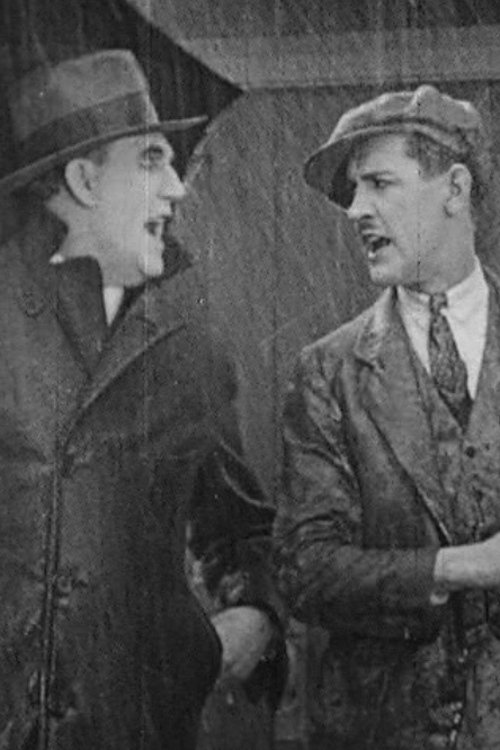 Accidental Accidents photo